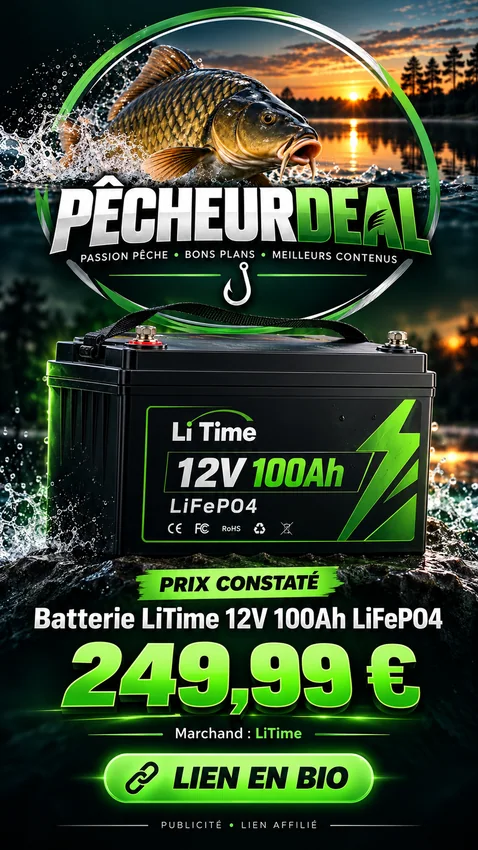 Batterie LiTime LiFePO4 12 V 100 Ah